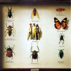 美女露胸秘网站
